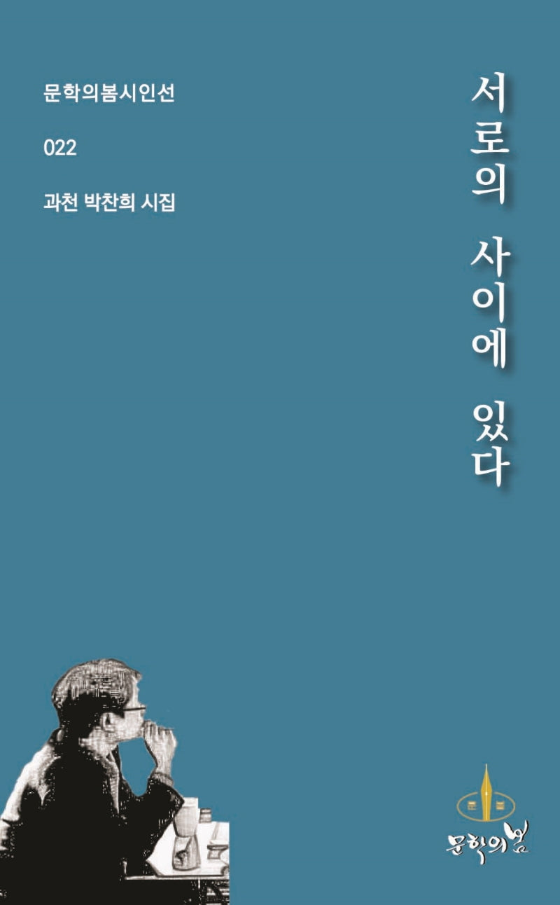 서로의 사이에 있다(문학의봄시인선 22)