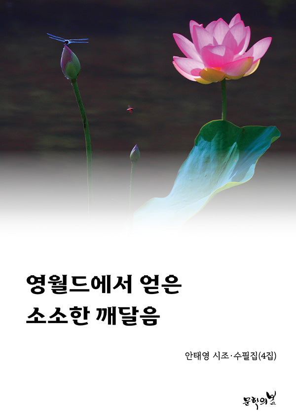 영월드에서 얻은 소소한 깨달음