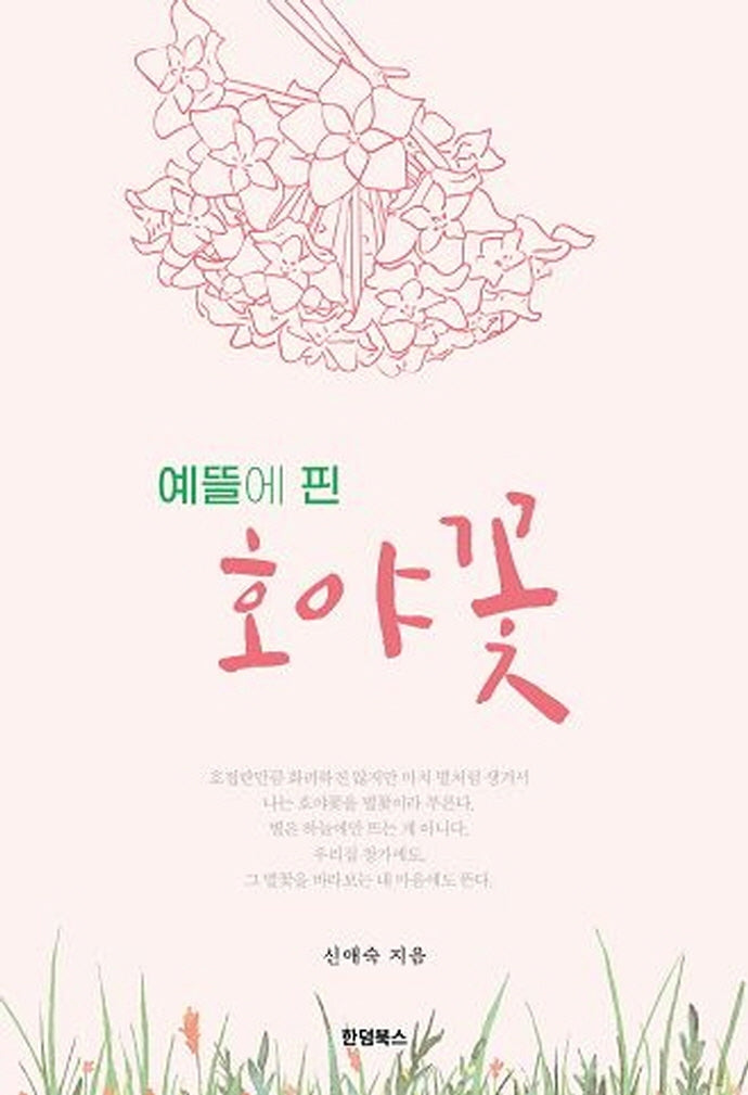 예뜰에 핀 호야꽃