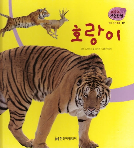 땅에 사는 동물 1: 호랑이(세밀화 자연관찰)