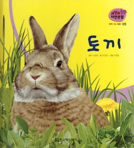 땅에 사는 동물 5: 토끼(세밀화 자연관찰)