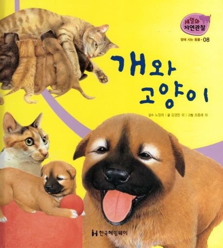 땅에 사는 동물 8: 개와 고양이(세밀화 자연관찰)