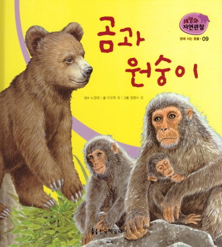 땅에 사는 동물 9: 곰과 원숭이(세밀화 자연관찰)