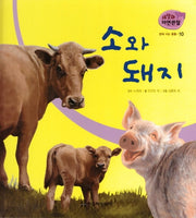 땅에 사는 동물 10: 소와 돼지(세밀화 자연관찰)