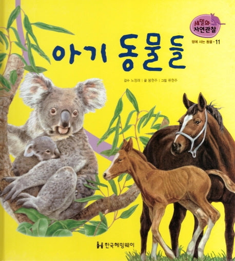 땅에 사는 동물 11: 아기 동물들(세밀화 자연관찰)