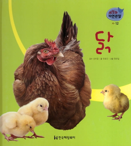 새 12: 닭(세밀화 자연관찰)