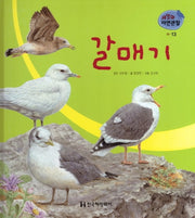 새 13: 갈매기(세밀화 자연관찰)