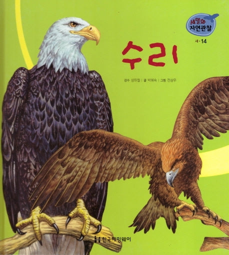 새 14: 수리(세밀화 자연관찰)