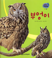 새 15: 부엉이(세밀화 자연관찰)