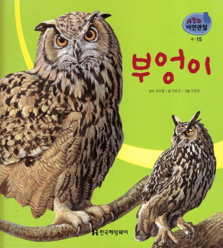새 15: 부엉이(세밀화 자연관찰)