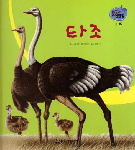 새 16: 타조(세밀화 자연관찰)