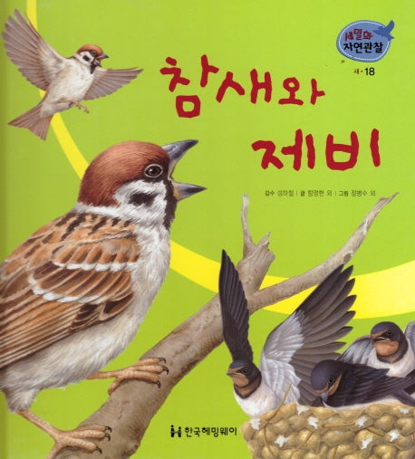 새 18: 참새와 제비(세밀화 자연관찰)