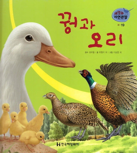 새 19: 꿩과 오리(세밀화 자연관찰)