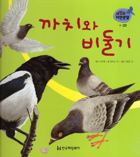 새 20: 까치와 비둘기(세밀화 자연관찰)