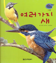 새 21: 여러 가지 새(세밀화 자연관찰)