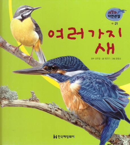 새 21: 여러 가지 새(세밀화 자연관찰)