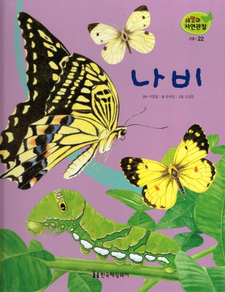 곤충 22: 나비(세밀화 자연관찰)