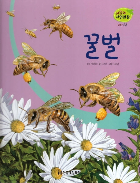 곤충 23: 꿀벌(세밀화 자연관찰)