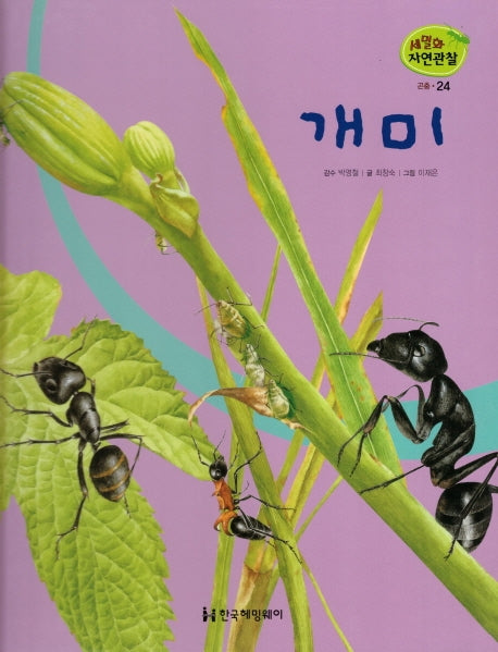 곤충 24: 개미(세밀화 자연관찰)