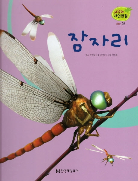 곤충 25: 잠자리(세밀화 자연관찰)