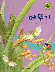 곤충 26: 메뚜기(세밀화 자연관찰)