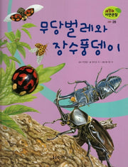곤충 28: 무당벌레와 장수풍뎅이(세밀화 자연관찰)