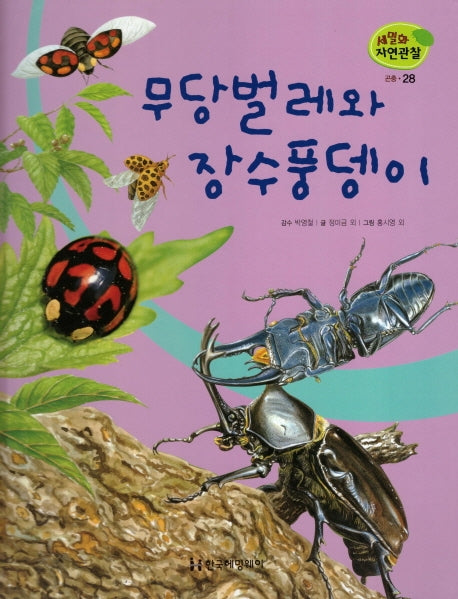 곤충 28: 무당벌레와 장수풍뎅이(세밀화 자연관찰)