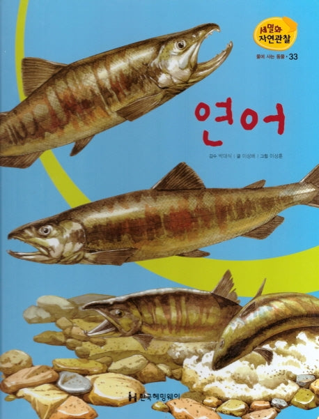 물에 사는 동물 33: 연어(세밀화 자연관찰)