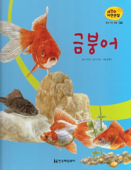 물에 사는 동물 34: 금붕어(세밀화 자연관찰)