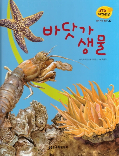 물에 사는 동물 37: 바닷가 생물(세밀화 자연관찰)