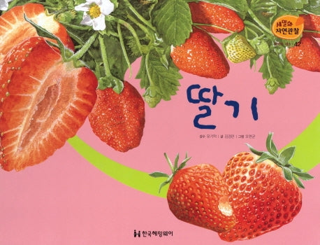 열매와 채소 42: 딸기(세밀화 자연관찰)