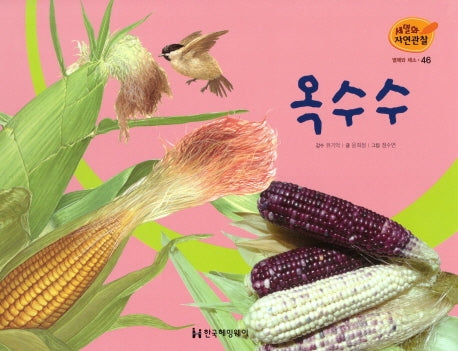 열매와 채소 46: 옥수수(세밀화 자연관찰)