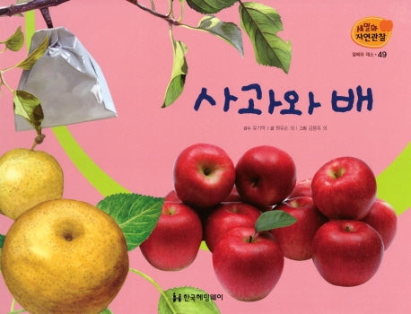 열매와 채소 49: 사과와 배(세밀화 자연관찰)