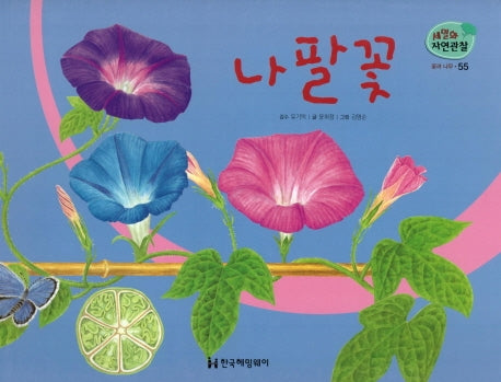 꽃과 나무 55: 나팔꽃(세밀화 자연관찰)
