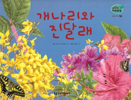 꽃과 나무 56: 개나리와 진달래(세밀화 자연관찰)