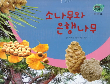 꽃과 나무 59: 소나무와 은행나무(세밀화 자연관찰)