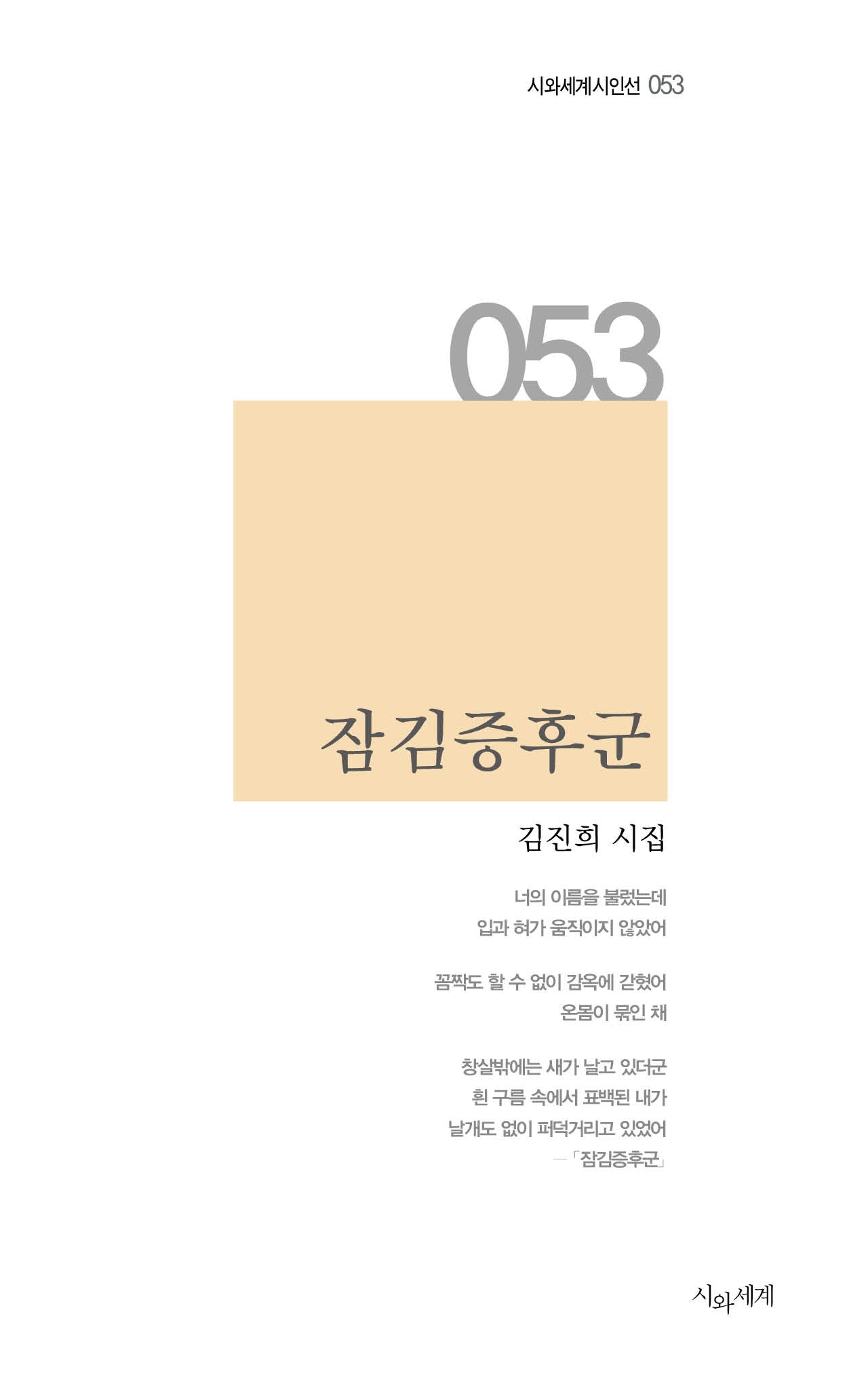 잠김증후군(시와세계 시인선 53)