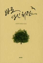 바로 당신처럼