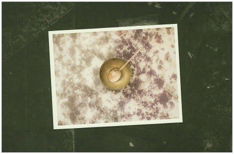 기억흔적(Traces of Memory)