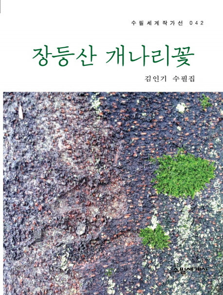 장등산 개나리꽃(수필세계작가선 42)