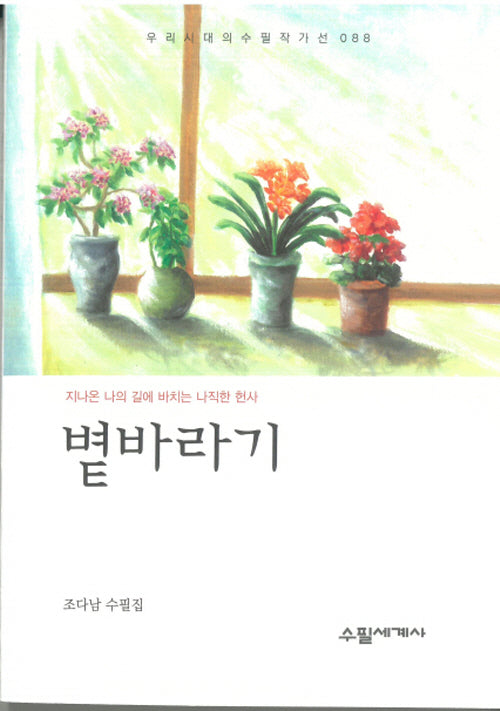 볕바라기(우리시대의 수필작가선 88)