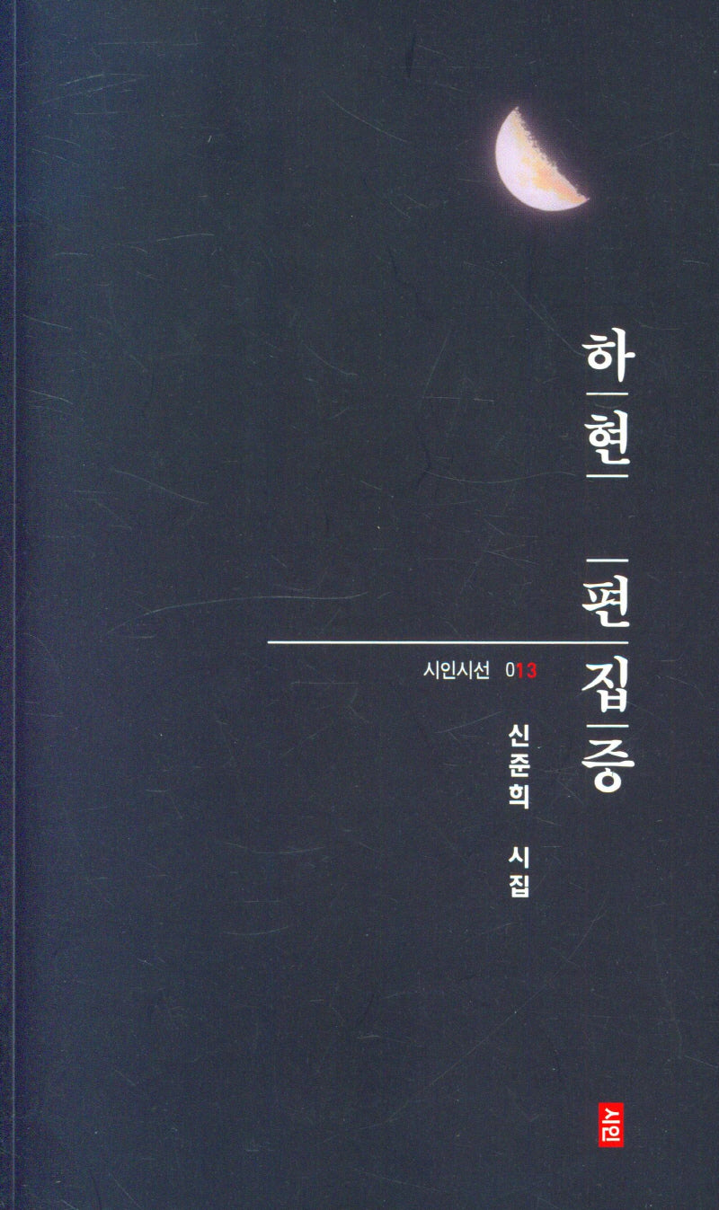 하현편집중(시인시선 13)
