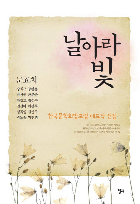 날아라 빛