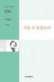 거울 속 불꽃놀이(빛나는시 100인선 30)