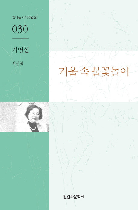 거울 속 불꽃놀이(빛나는시 100인선 30)