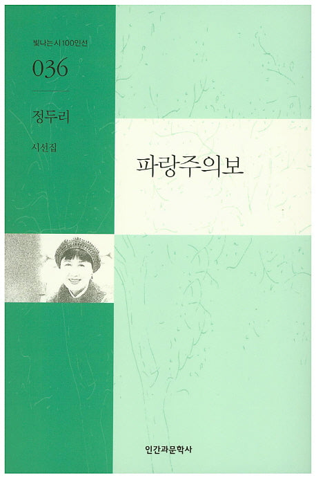 파랑주의보(빛나는시100인선 36)