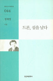 드론 섬을 날다(빛나는시100인선 44)