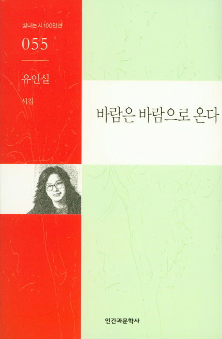 바람은 바람으로 온다(빛나는 시 100인선 55)