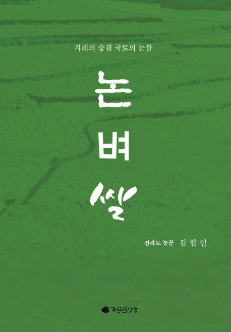 논 벼 쌀