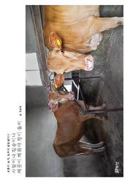 사람이나 짐승이나 깨끗이 해줘야 정이 들지(보통의 농가, 농부의 살림살이 2)